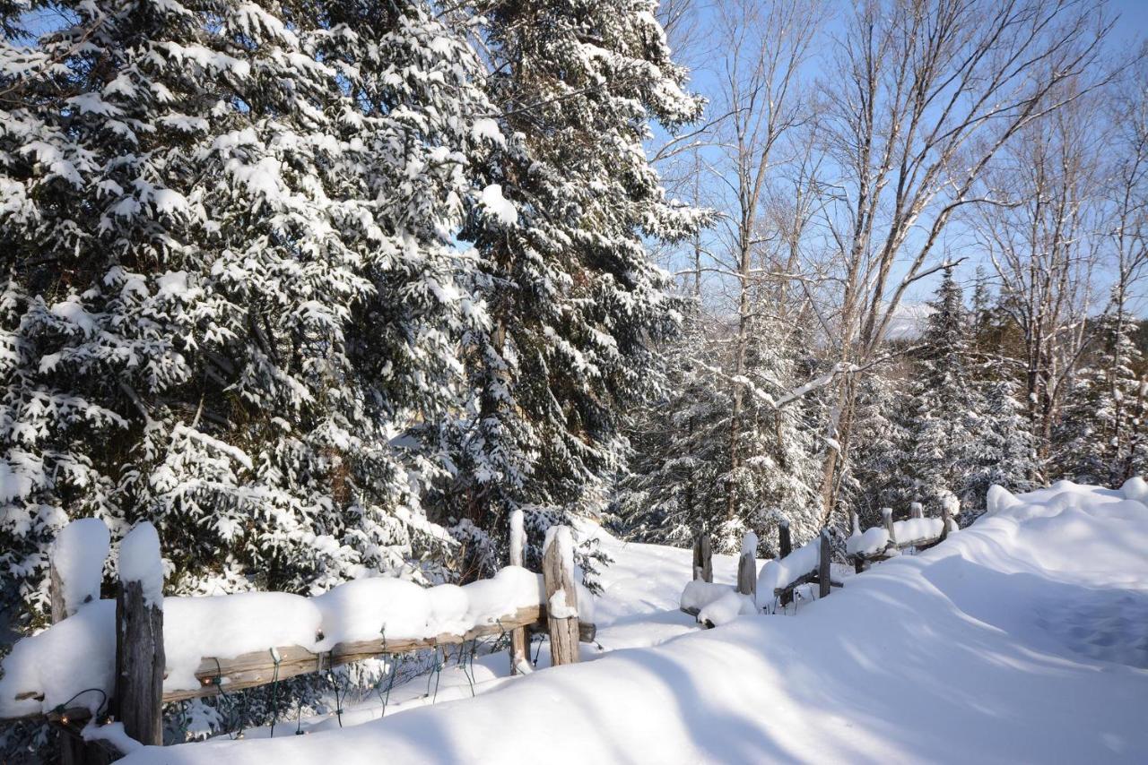 Jardin Du Village By Chez Tremblant Mont-Tremblant Exteriér fotografie