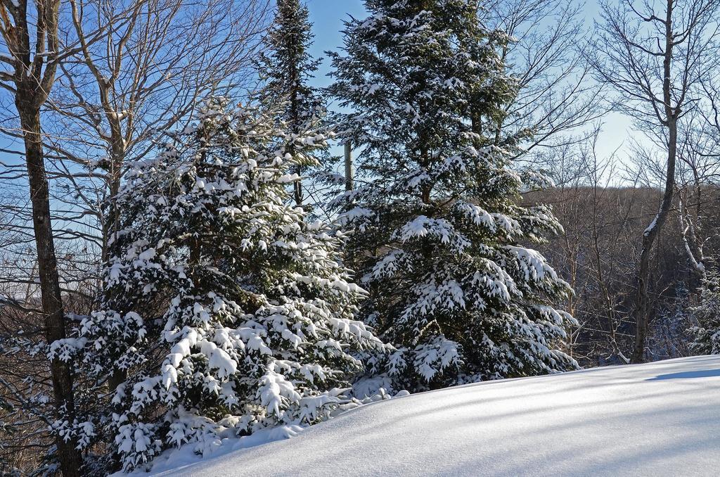 Jardin Du Village By Chez Tremblant Mont-Tremblant Pokoj fotografie